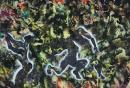 ohne Titel