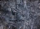 ohne Titel